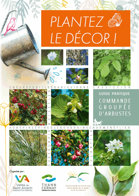 Plantez le décor 2025 !